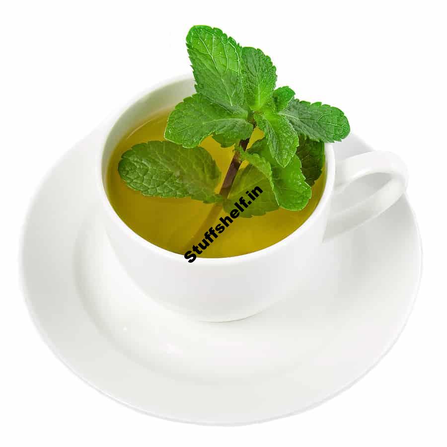 Mint Tisane – Harvest to Table