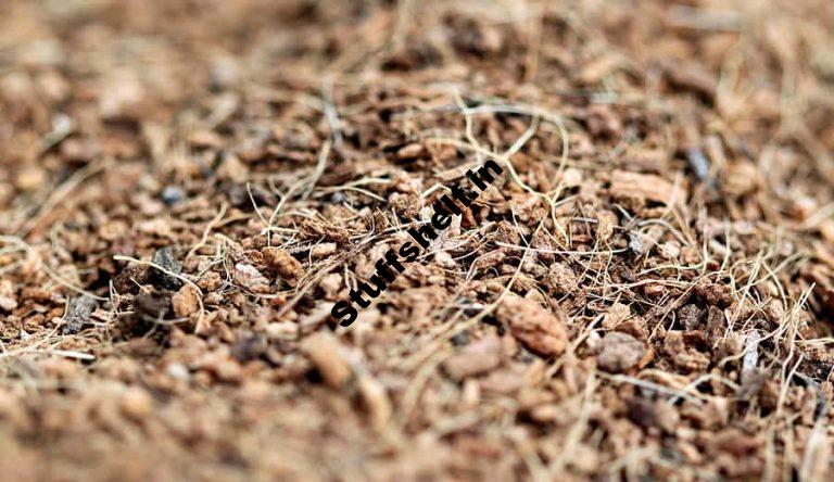 Common Mulches for Vegetable Gardens