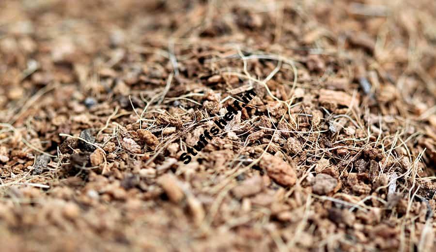 Common Mulches for Vegetable Gardens