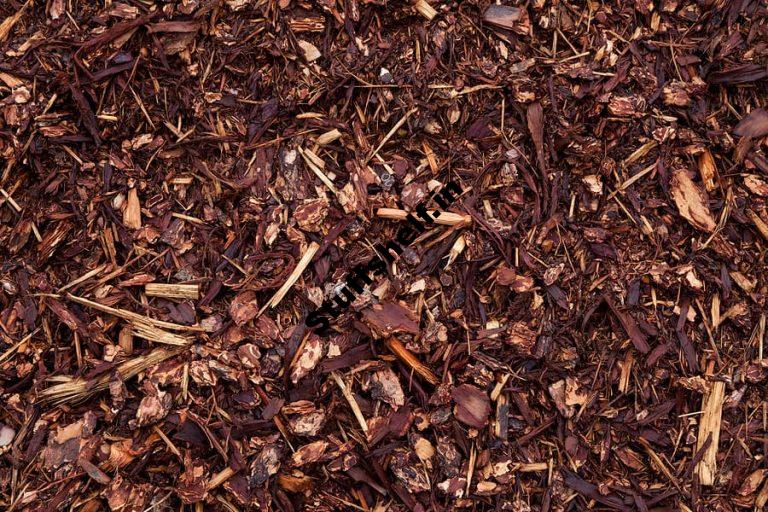 Mulch for Vegetable Gardens The Benefits