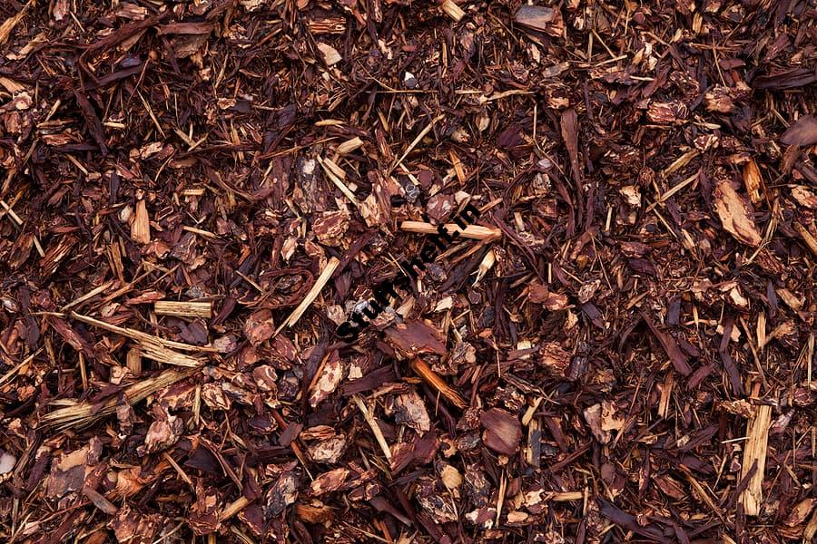 Mulch for Vegetable Gardens: The Benefits