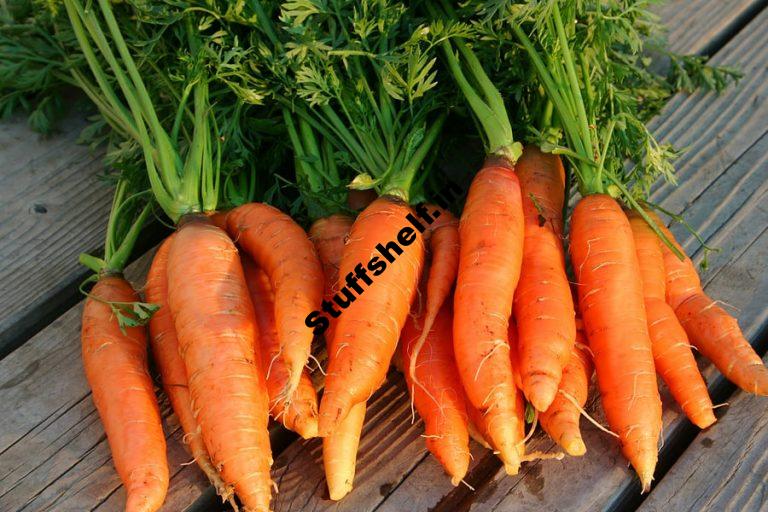 Nantes Carrots Harvest to Table