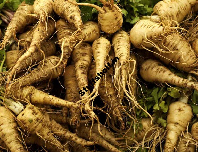 Planting Parsnips Harvest to Table