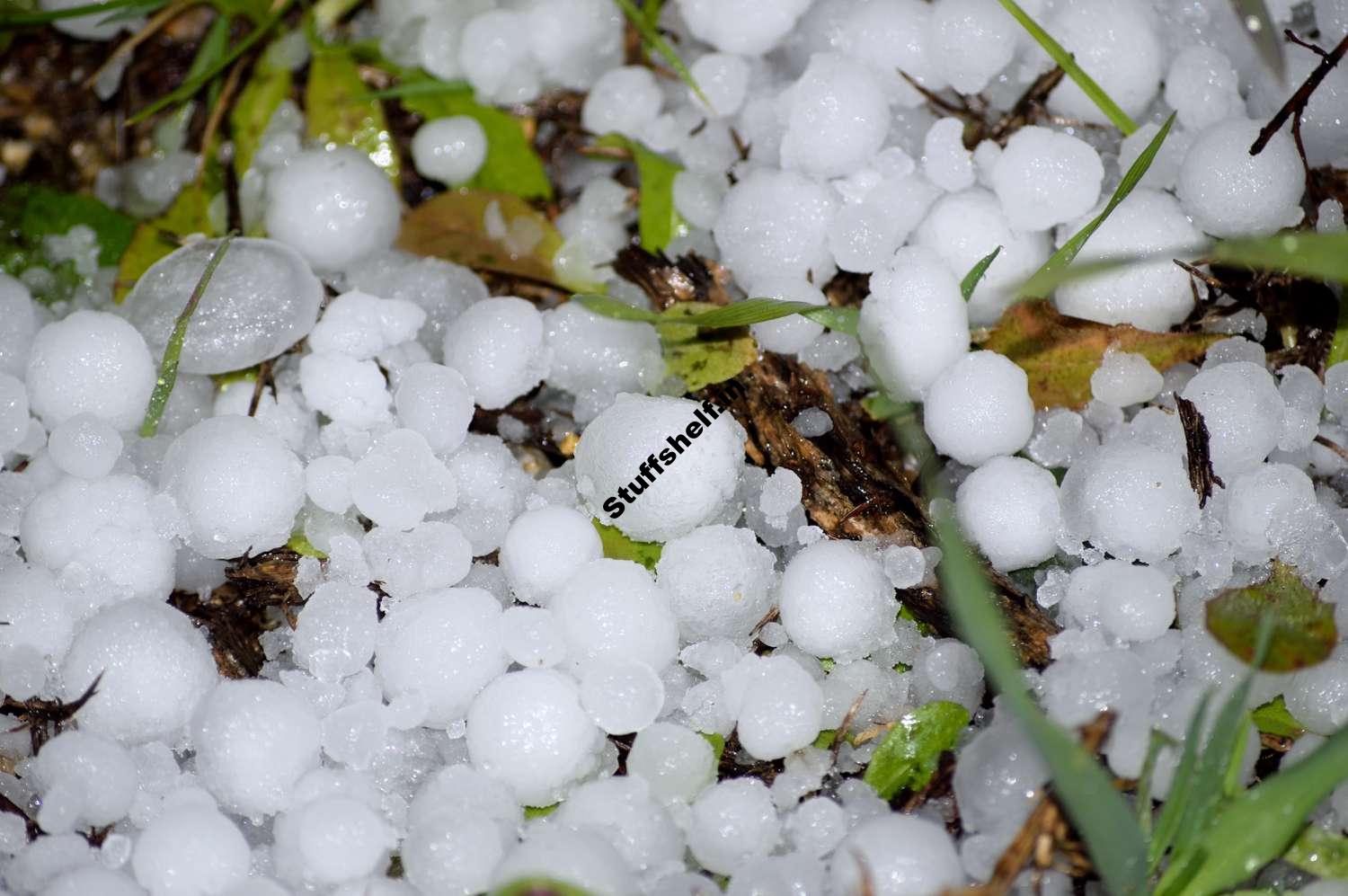 Crop-Hail Insurance