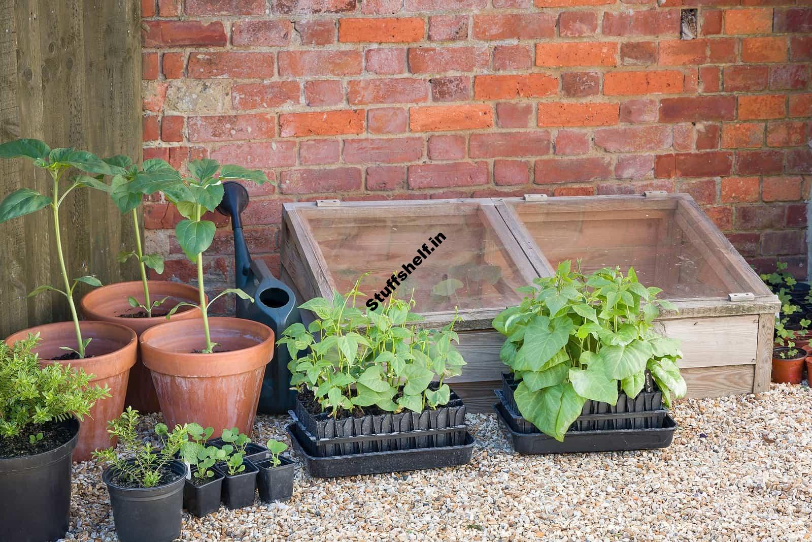 Cold Frame to Extend the Season