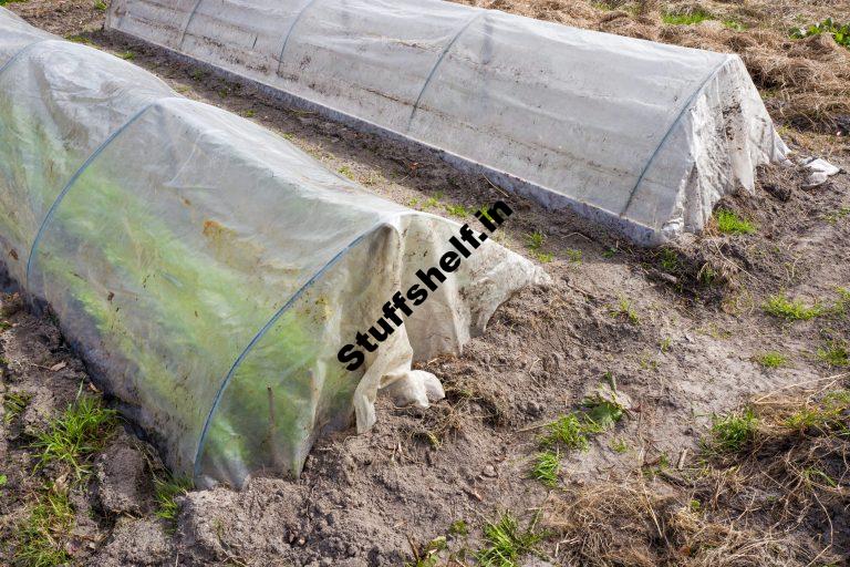 Plastic Tunnels to Grow Vegetables