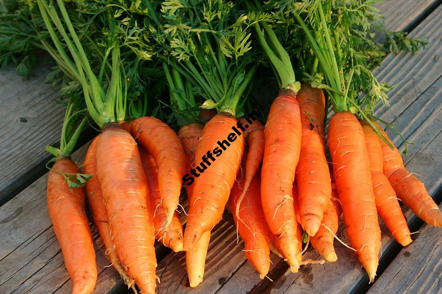 How to Plant Grow and Harvest Carrots