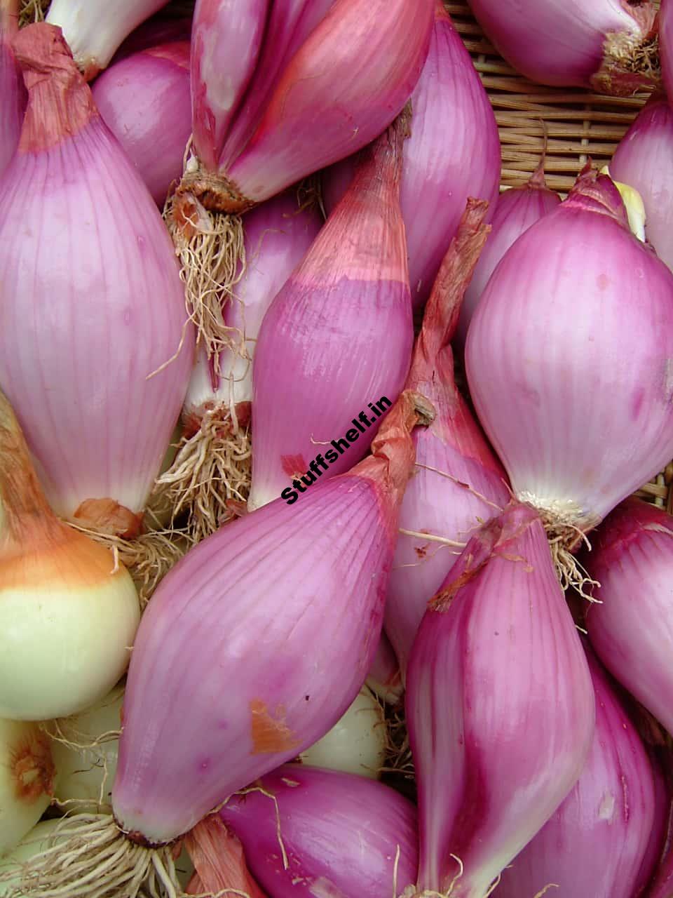 How to Plant Grow and Harvest Onions