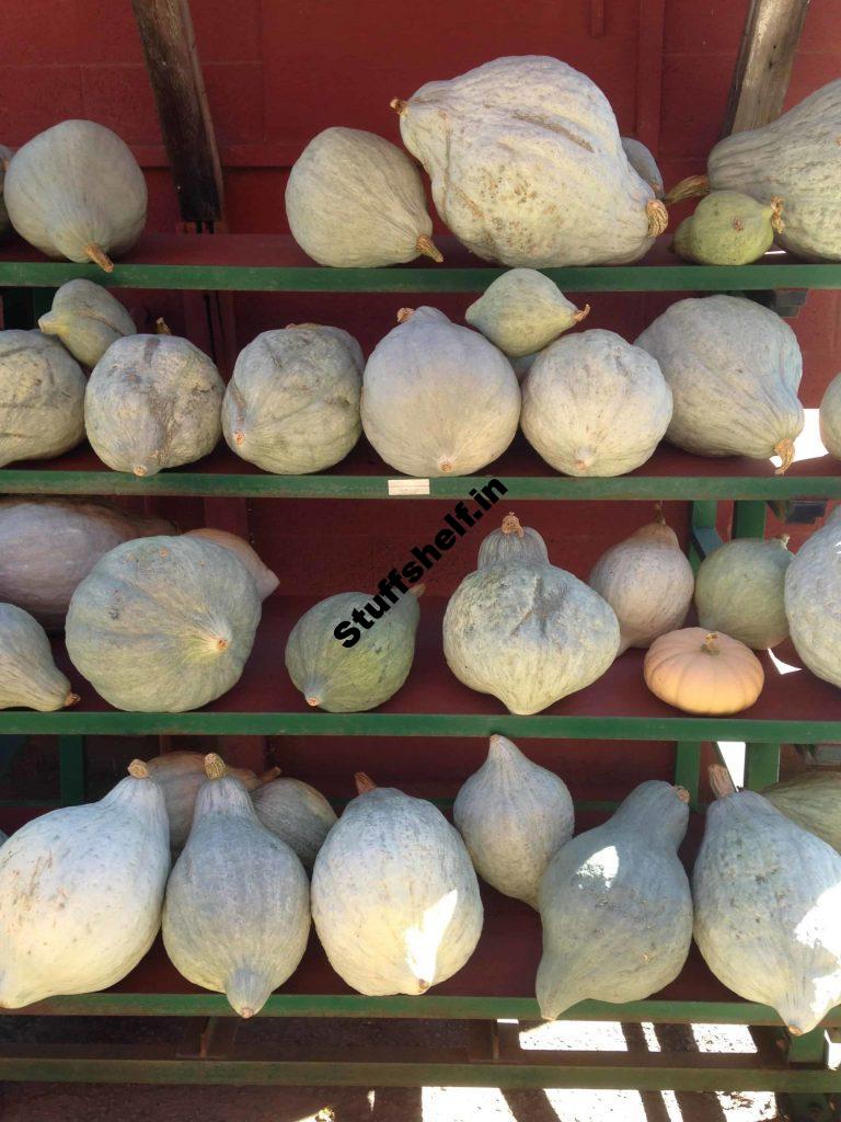 How to Cure and Store Winter Squash