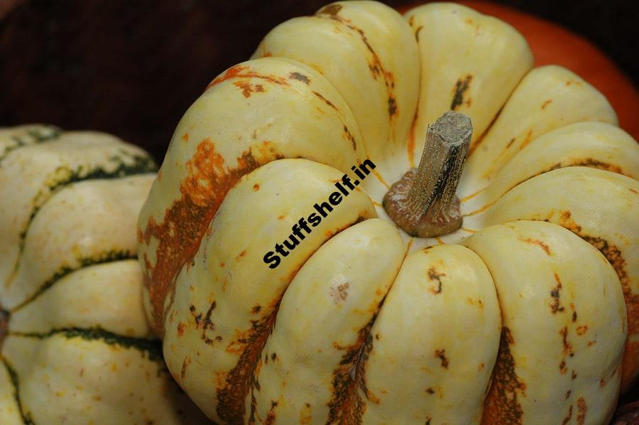 How to Plant, Grow, and Harvest Winter Squash