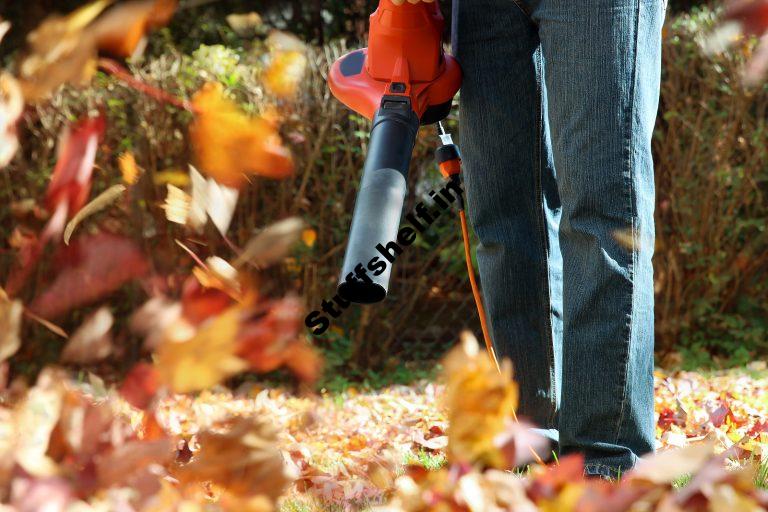 Leaf Blower Buyers Guide Best Rated Leaf Blowers