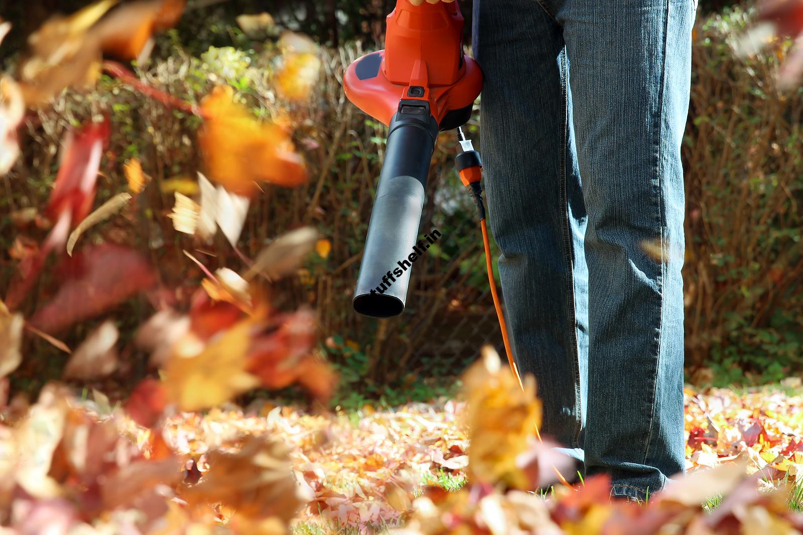 Leaf Blower Buyers Guide Best Rated Leaf Blowers