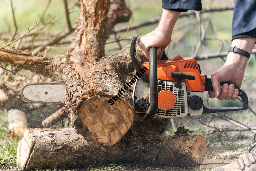 Chainsaw Buyer’s Guide – Best-Rated Chainsaws