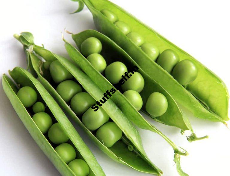 How to Plant Grow and Harvest Peas