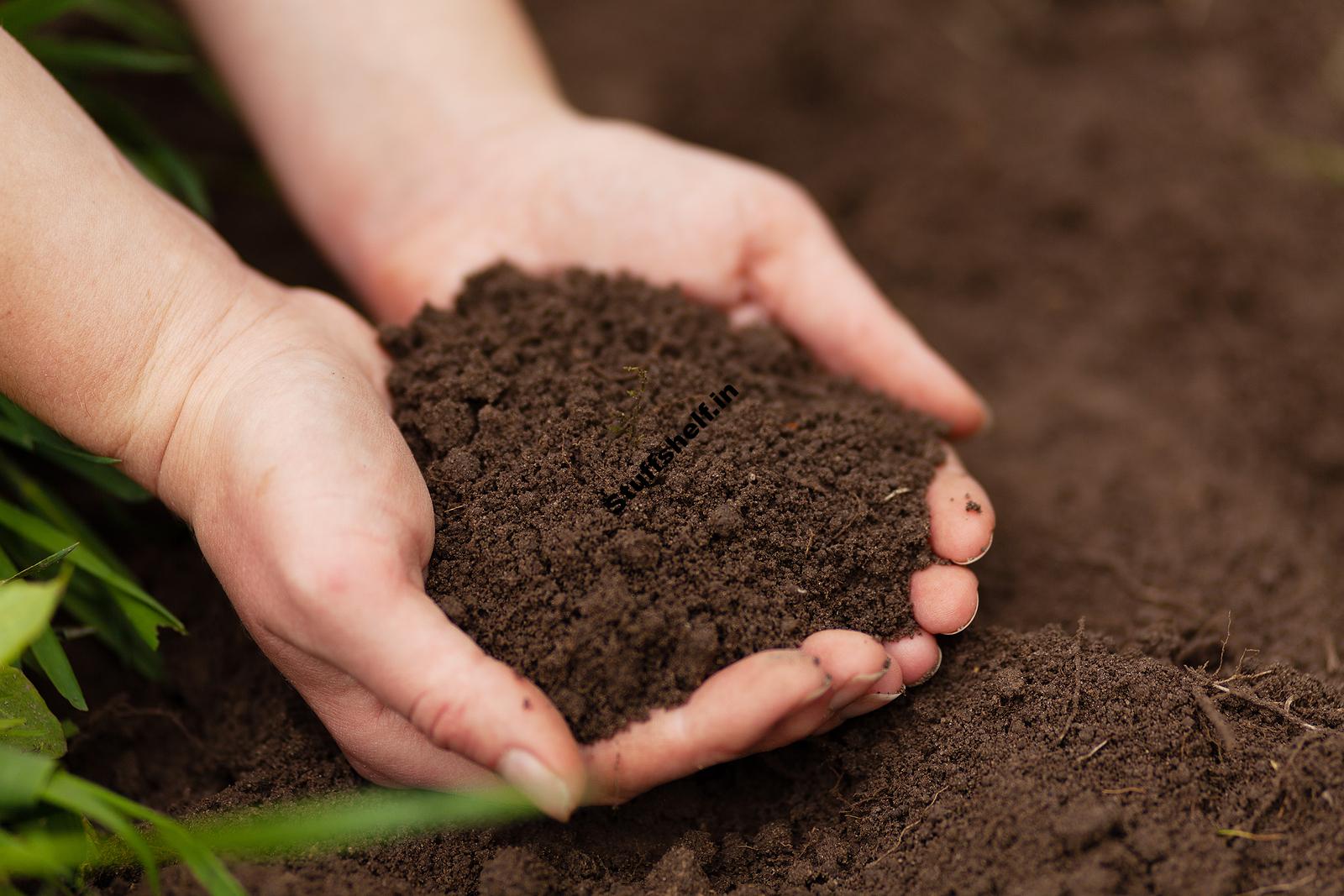 Soil for Grow Bag Gardening Harvest to Table