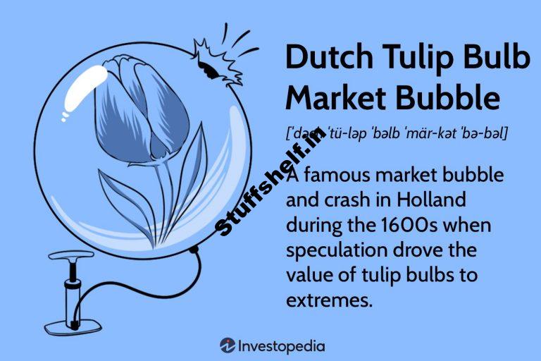 About the Dutch Tulip Bulb Market Bubble