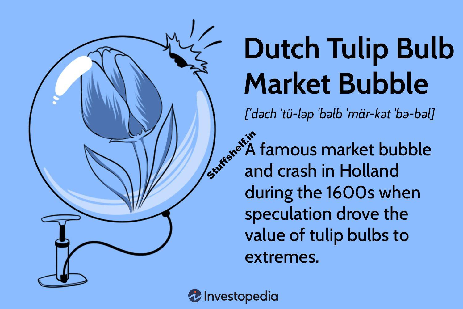 About the Dutch Tulip Bulb Market Bubble