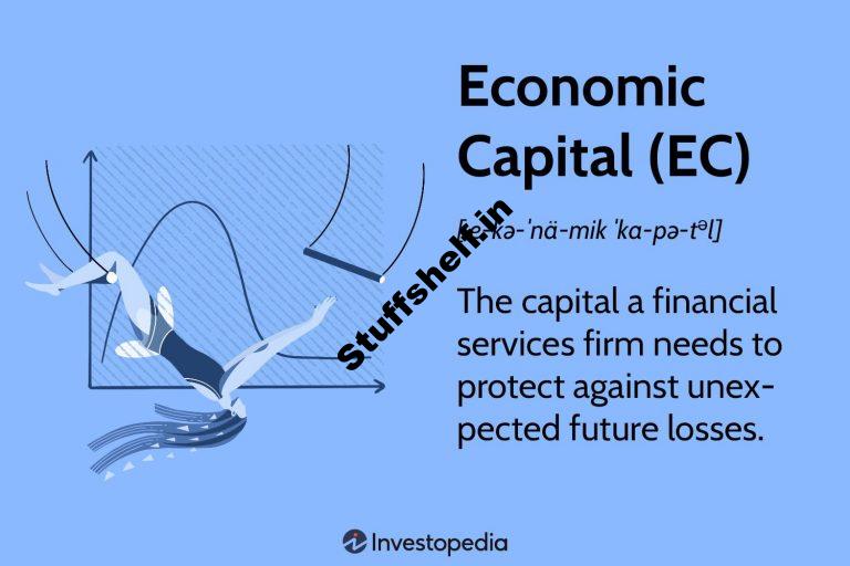 What Is Monetary Capital (EC)? Learn to Calculate and Example