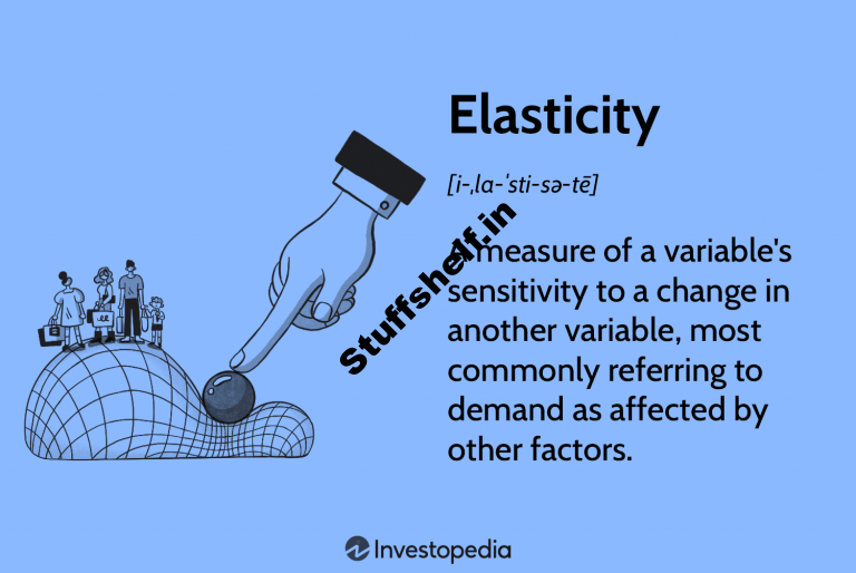 What Is Elasticity in Finance How Does it Work with Example