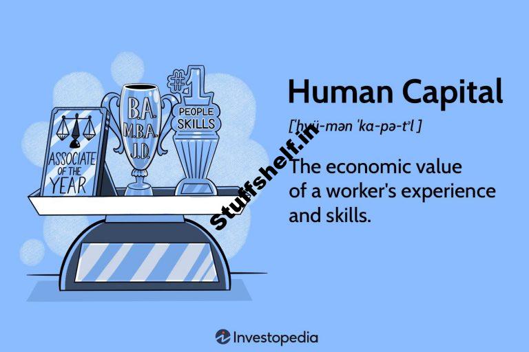 Types Examples and Relationship to the Economy