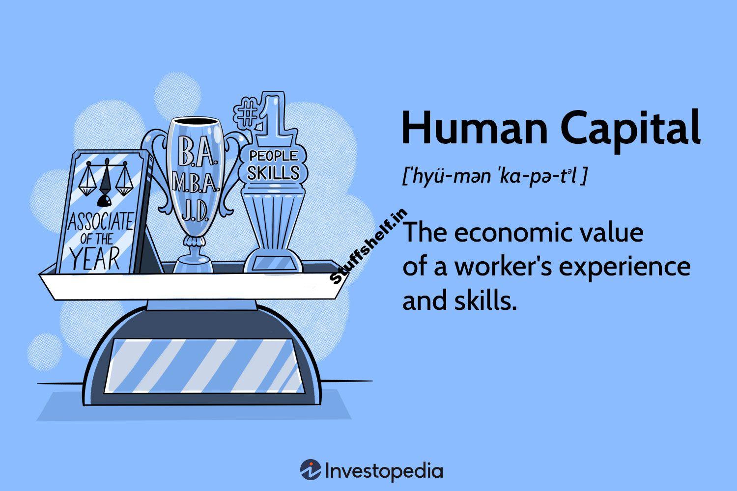 Types Examples and Relationship to the Economy