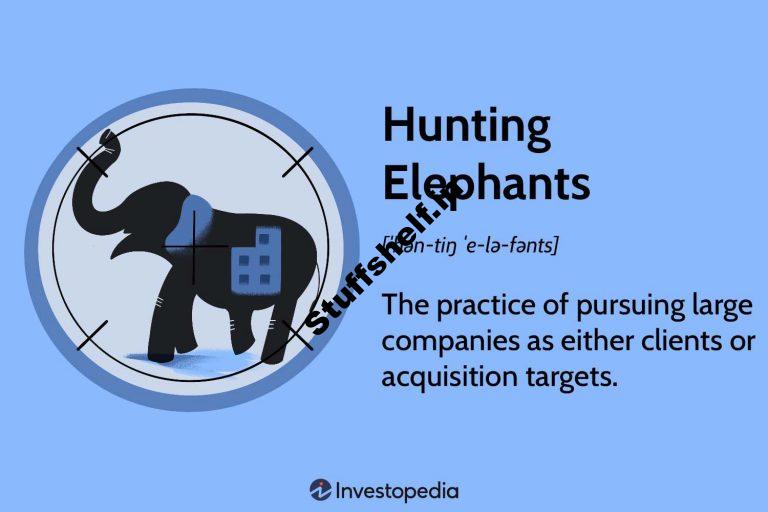 Hunting Elephants Definition