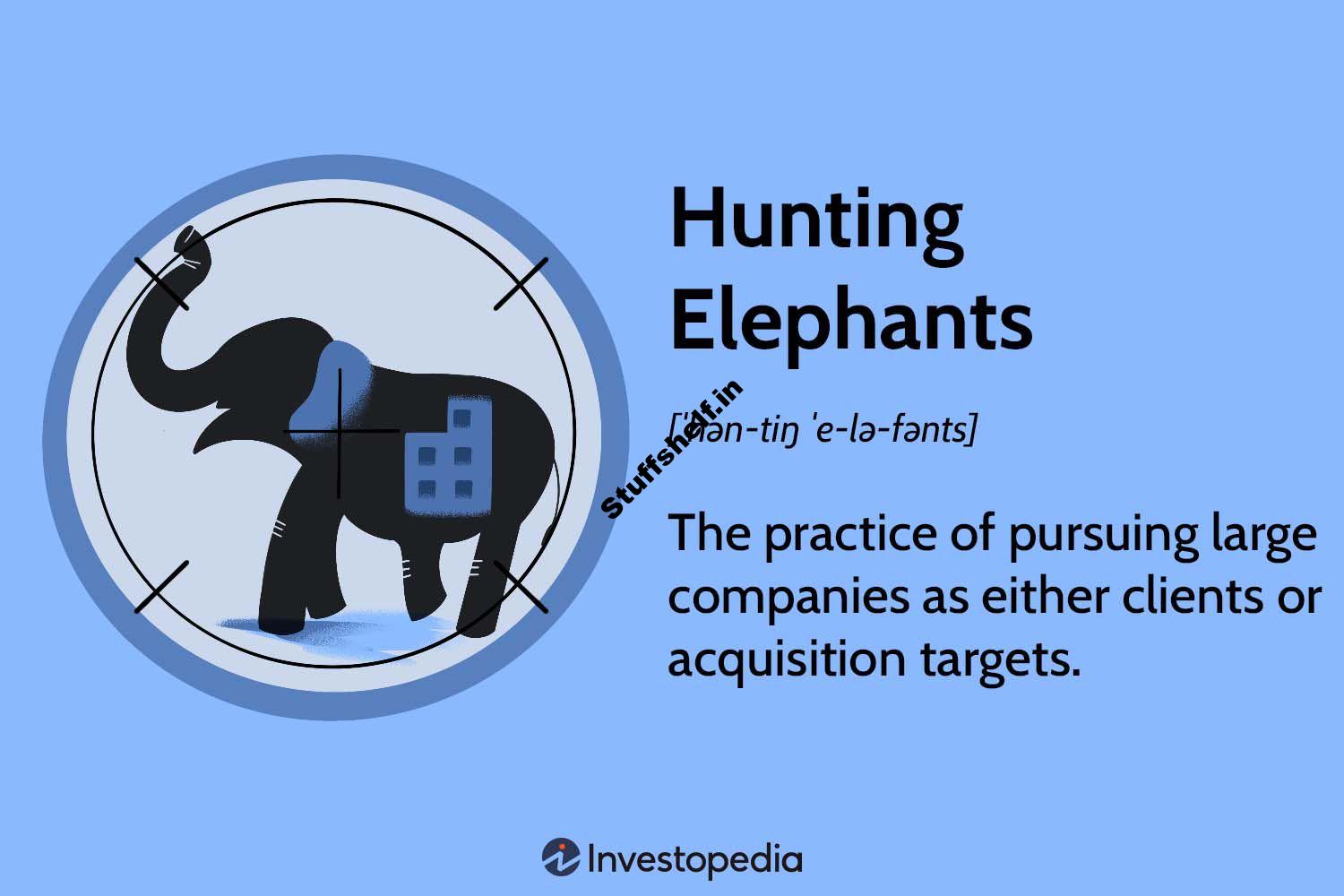 Hunting Elephants Definition