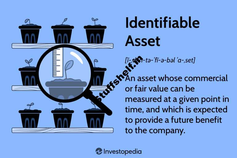 Identifiable Asset Definition