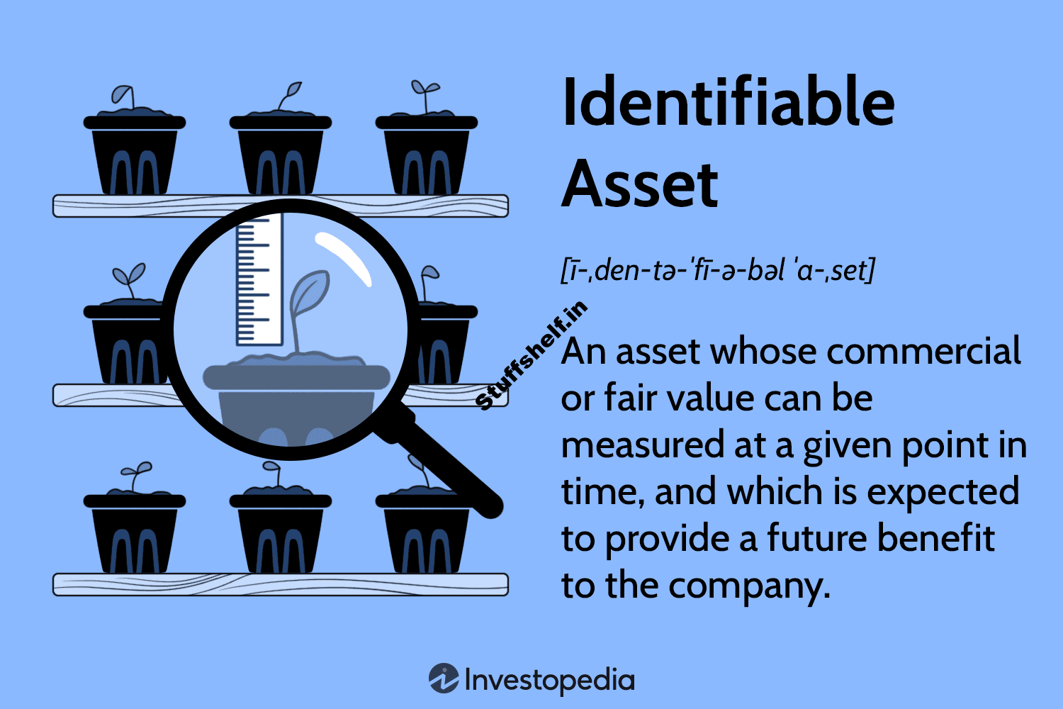 Identifiable Asset Definition