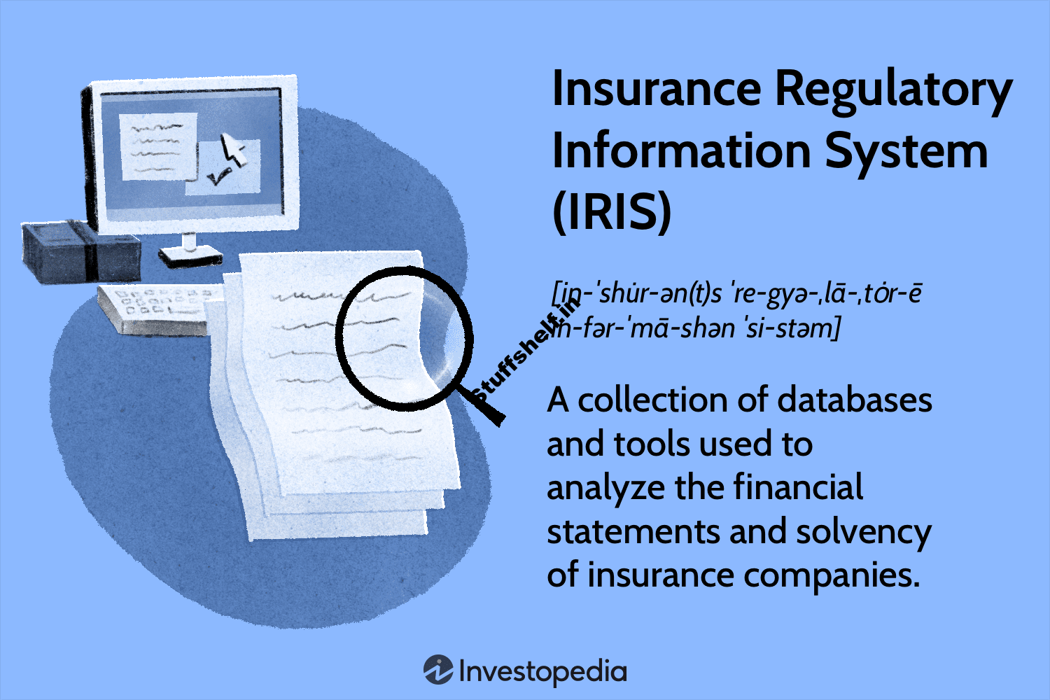 Insurance Regulatory Information System (IRIS) Definition