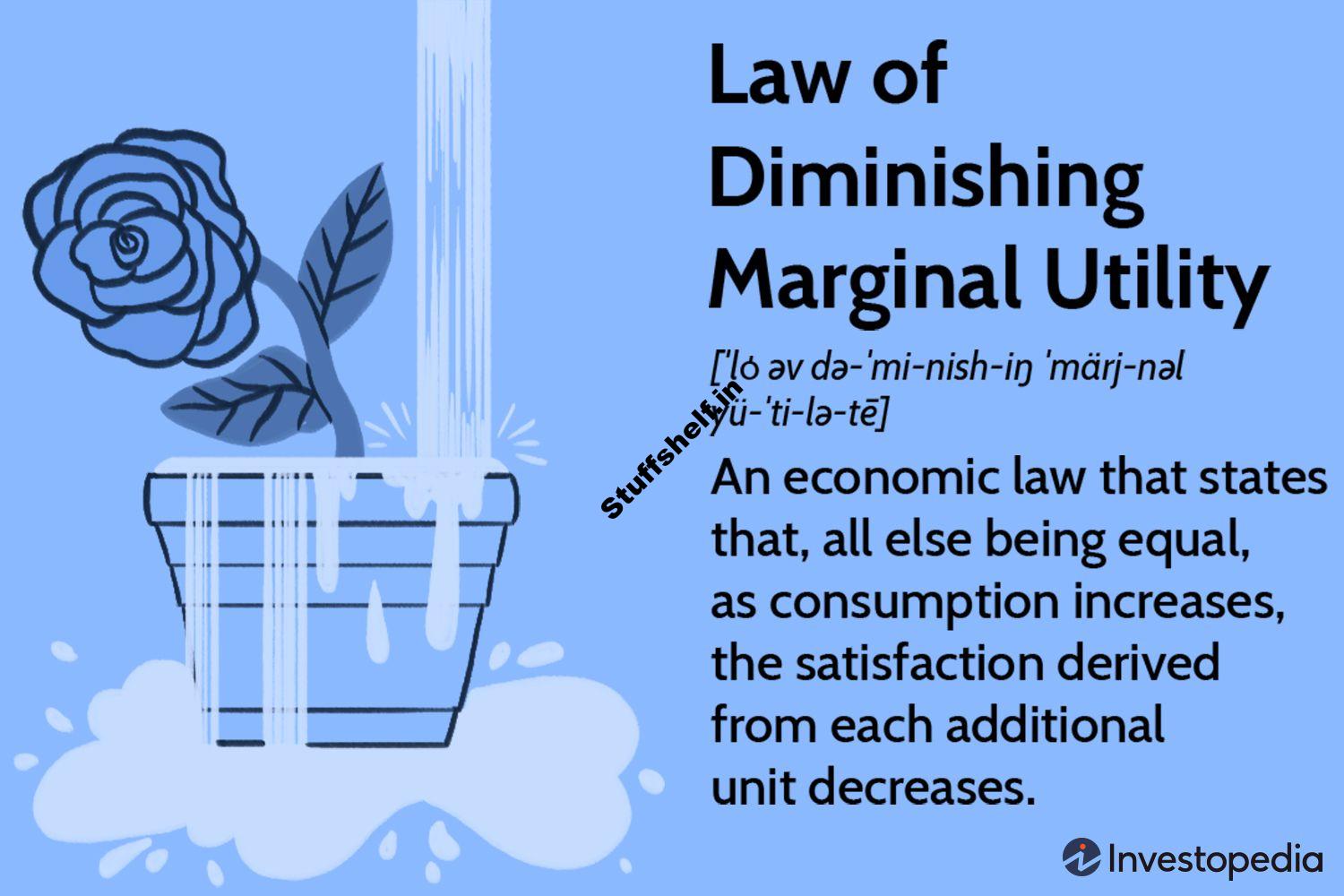 What Is the Law of Diminishing Marginal Utility With Example