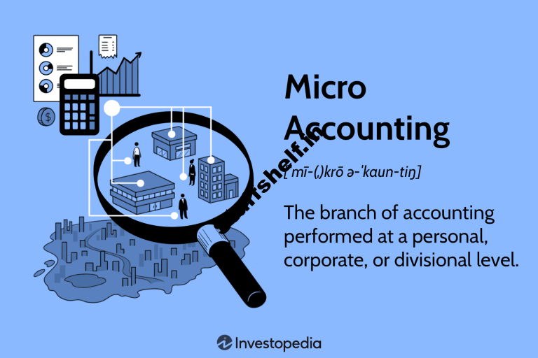 Micro Accounting Definition