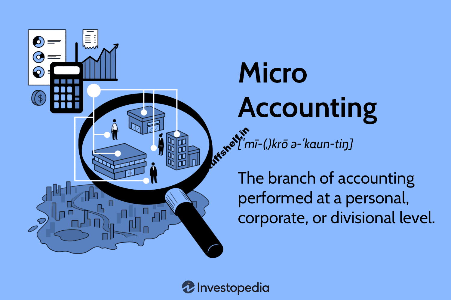 Micro Accounting Definition