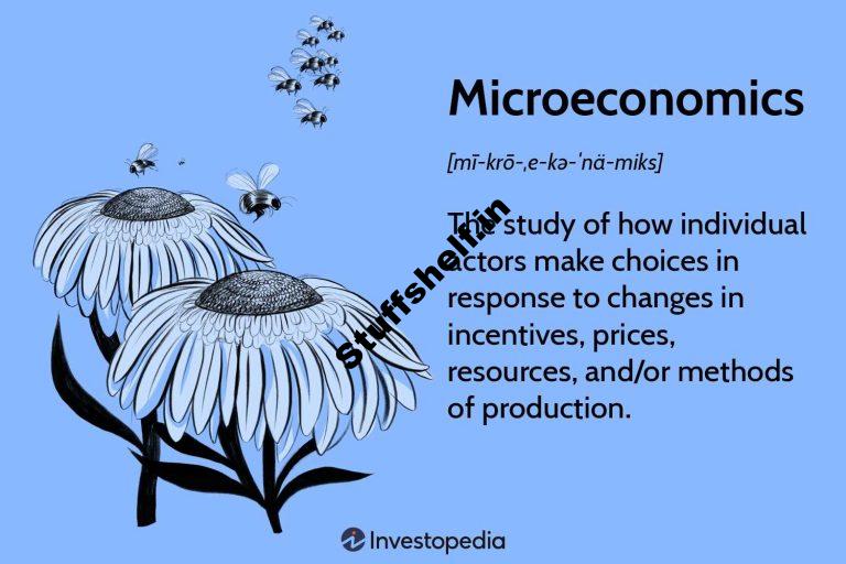 Microeconomics Definition Uses and Concepts