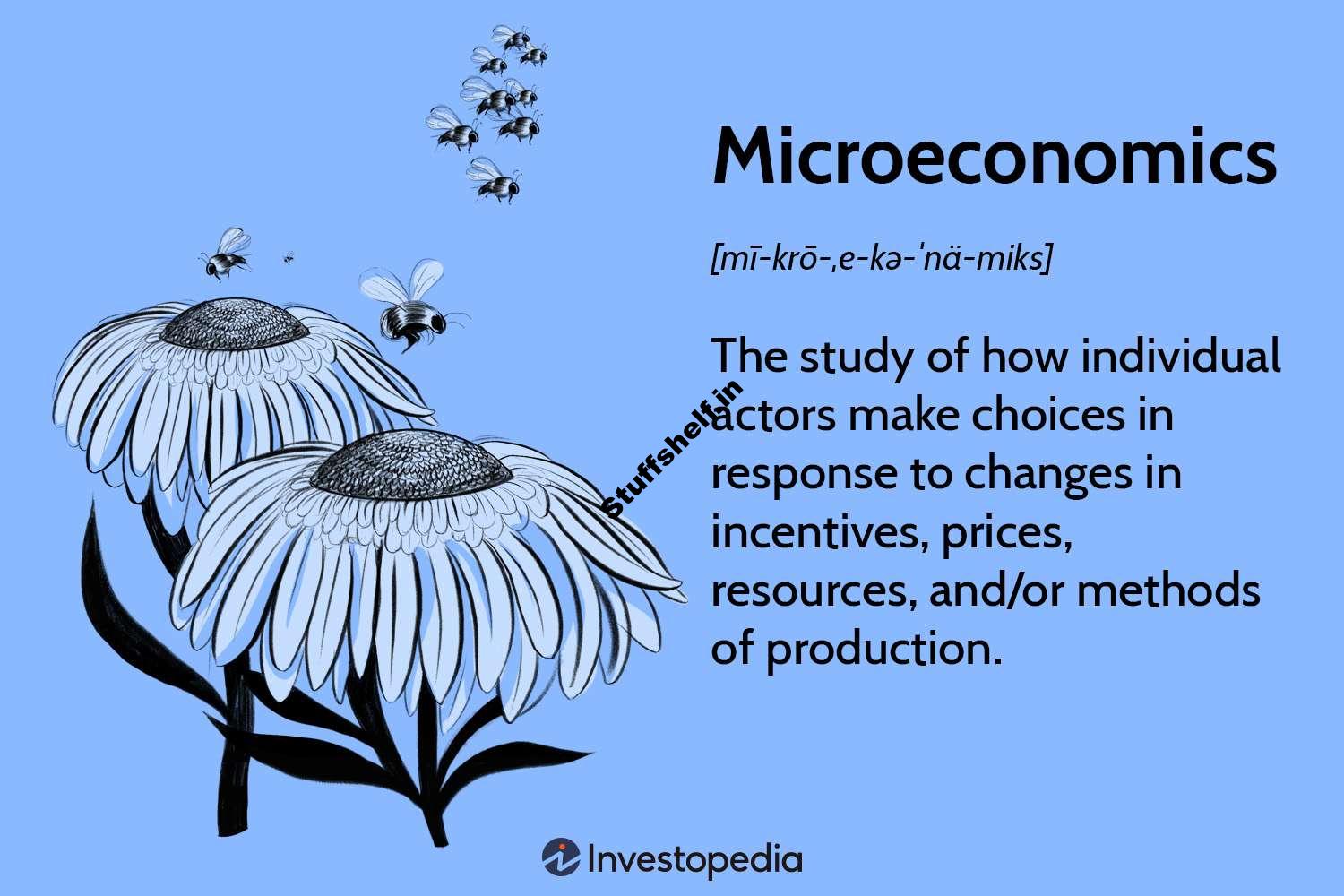 Microeconomics Definition, Uses, and Concepts