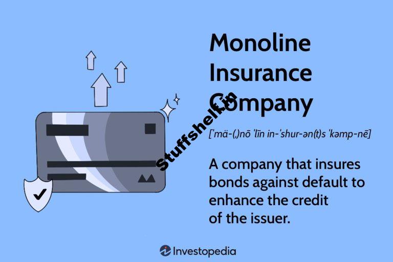 Monoline Insurance Company Definition