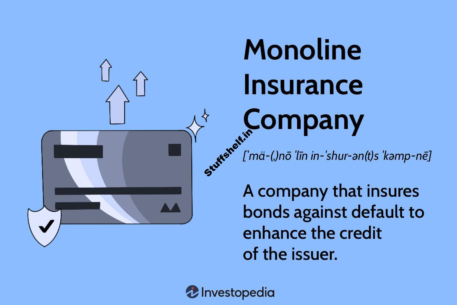 Monoline Insurance Company Definition