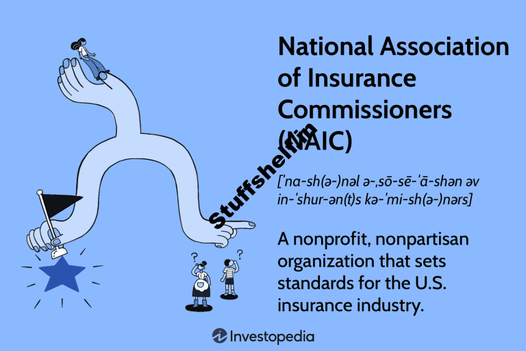 National Association of Insurance Commissioners NAIC Defined