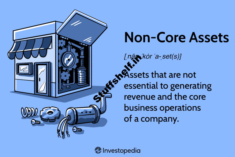 Non Core Assets Definition