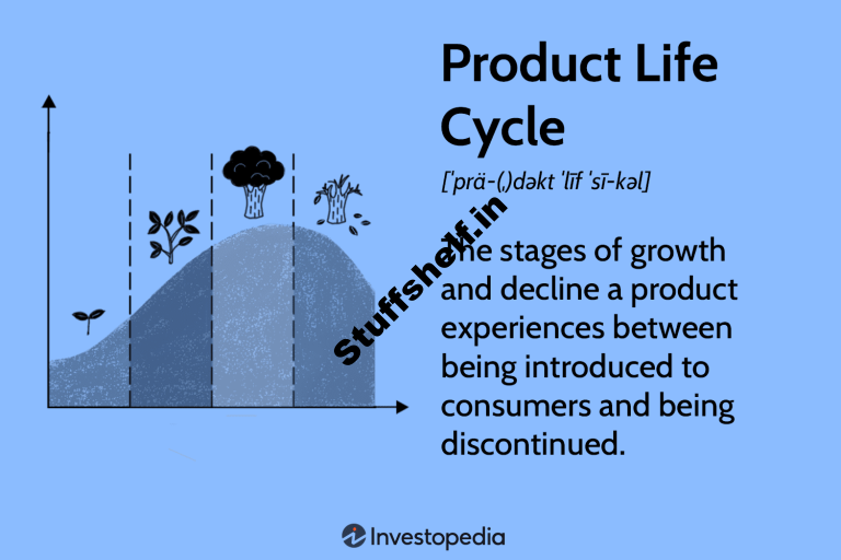 Product Life Cycle Explained Stage and Examples