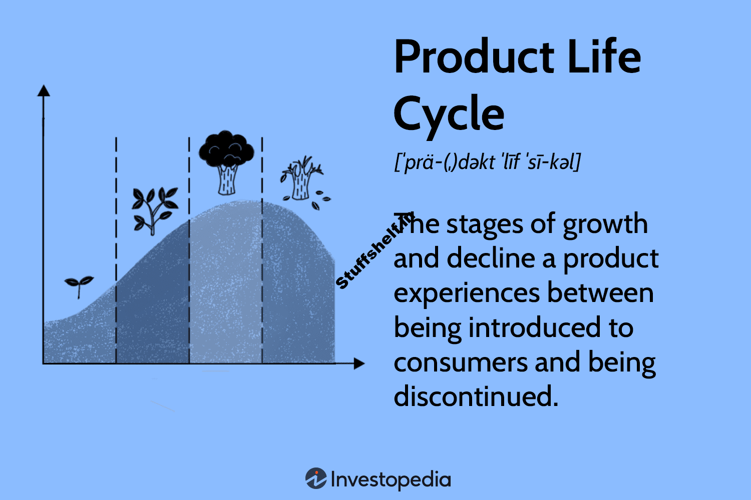 Product Life Cycle Explained: Stage and Examples