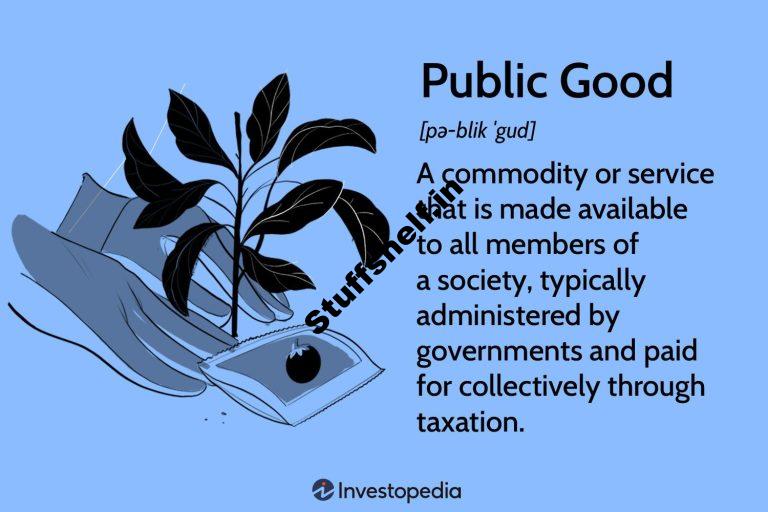 What Are Public Goods Definition How They Work and Example