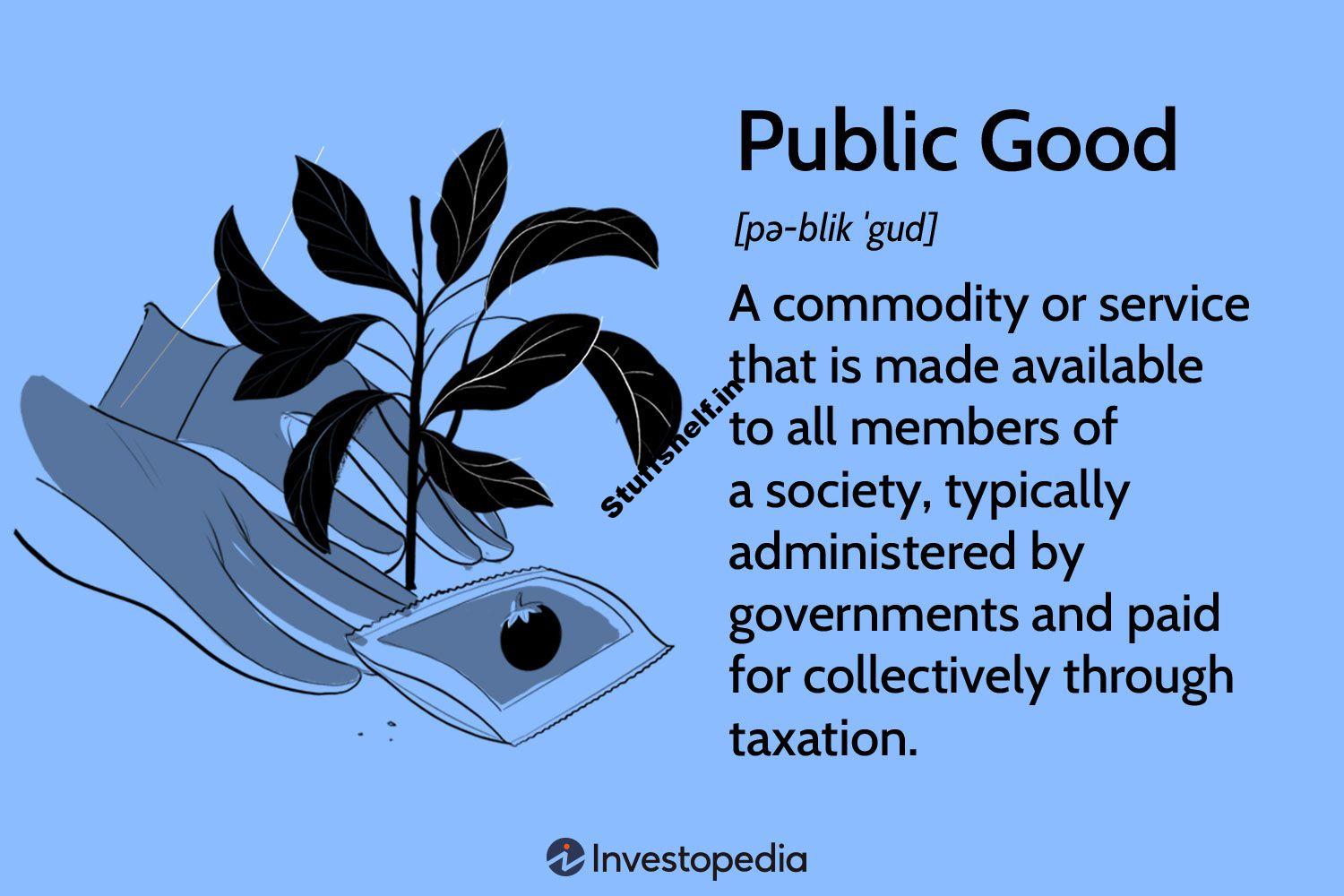 What Are Public Goods? Definition, How They Work, and Example