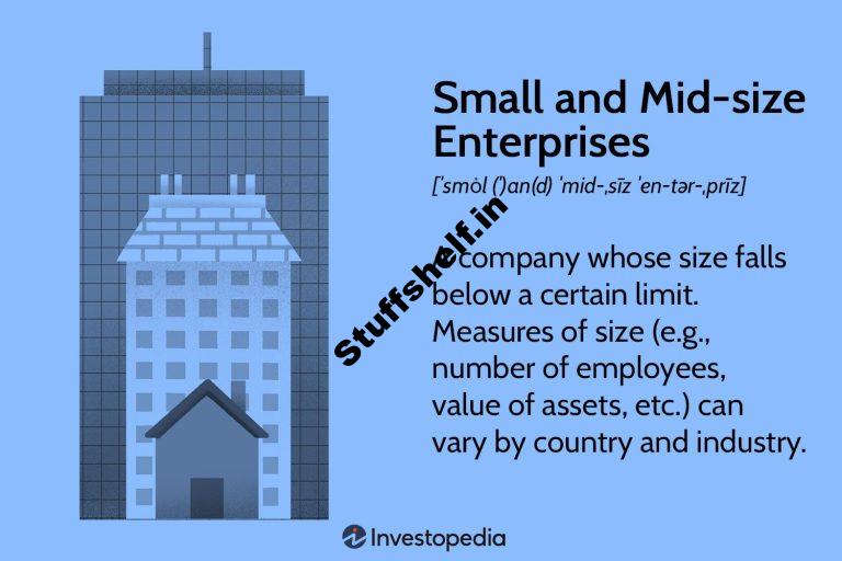 Small and Mid-size Endeavor (SME) Defined: Types Around the World