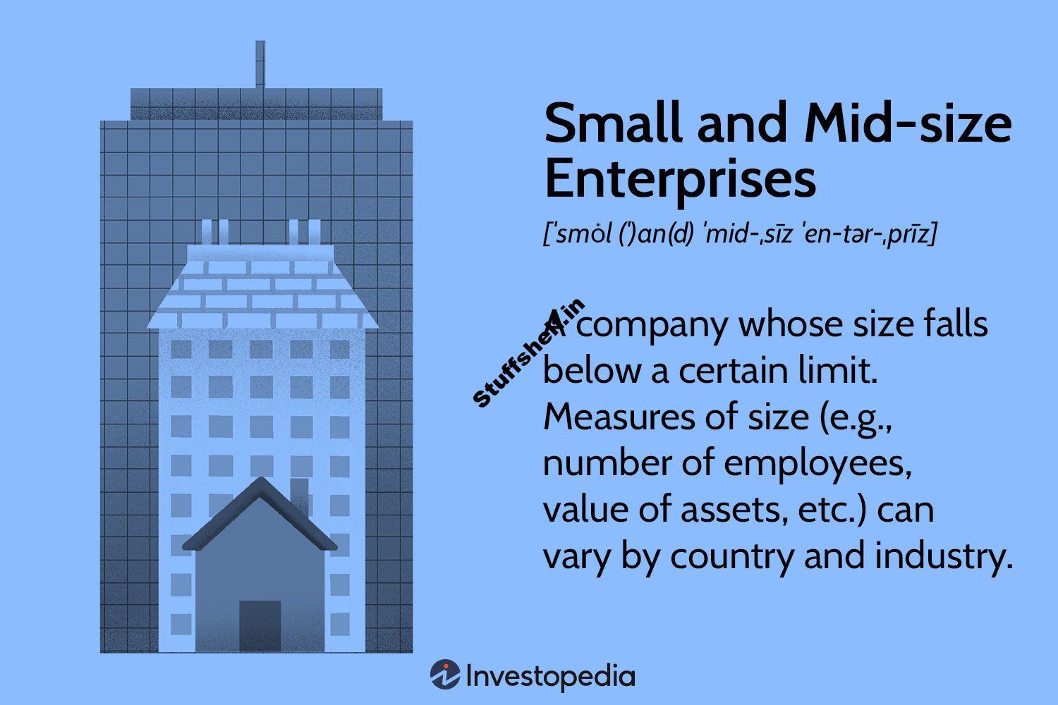 Small and Mid size Enterprise SME Defined Types Around the World