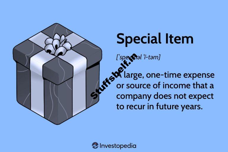 Special Item Definition