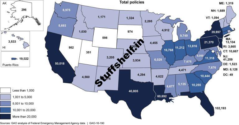 What Is Surplus Strains Insurance plans? How It Works, Uses, and Types