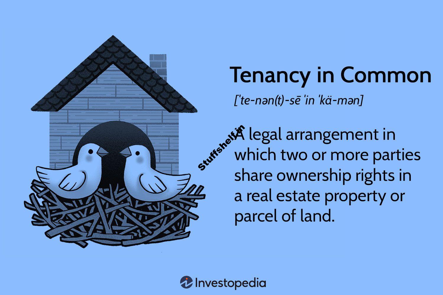 How It Works and Compared to Joint Tenancy