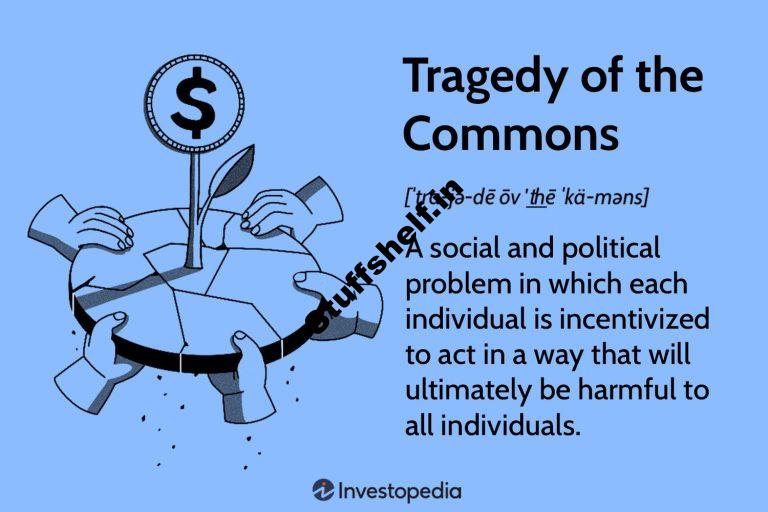 What It Means in Economics