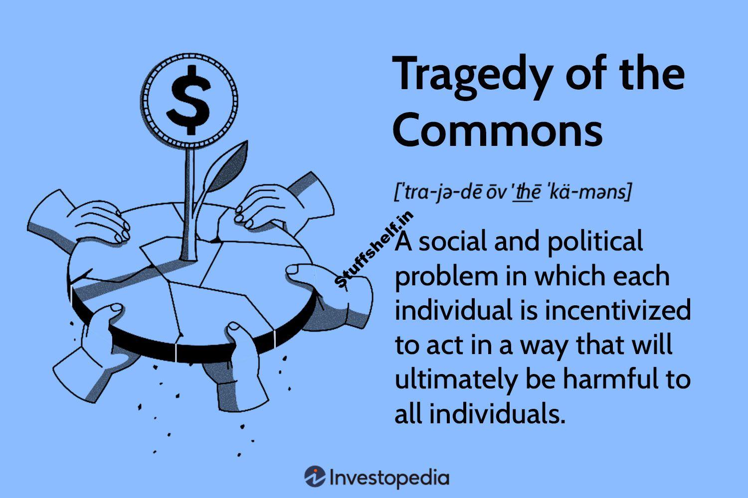 What It Means in Economics